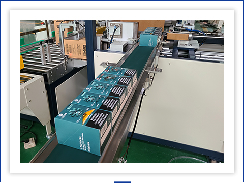 Material Conveyor