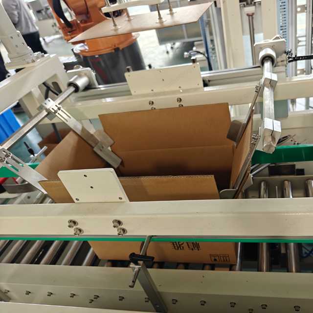 Fully Automatic Toothpaste Case Packing Line with Dual Robotic Arms
