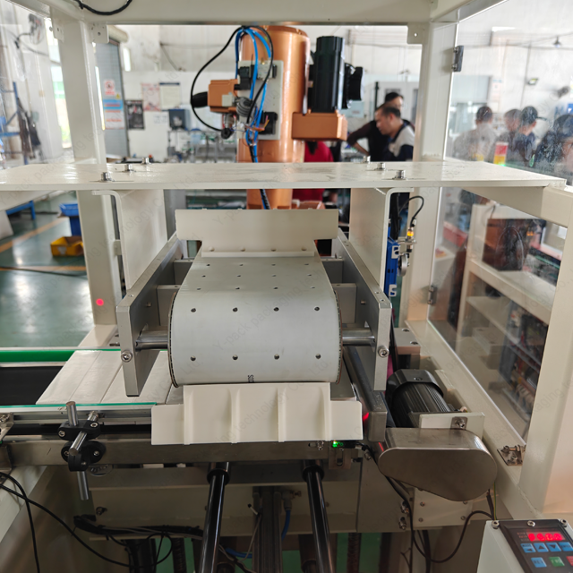 Fully Automatic Toothpaste Case Packing Line with Dual Robotic Arms