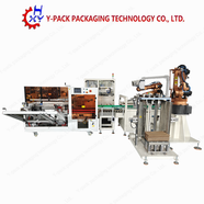 Fully Automatic Toothpaste Case Packing Line with Dual Robotic Arms