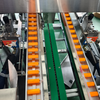 Semi-Automatic Carton Sealing Machine with 5-Second Quick Changeover Multi-Size Box Sealer