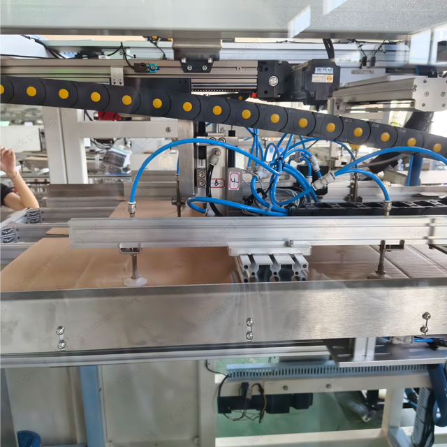 Fully Automatic Carton Folding & Gluing Machine with Dividers | Pneumatic Suction Cup Box Former - Y-PACK