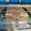 Panel Light Cartoning Machine---Side Flap Closing